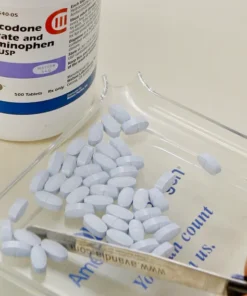 Hydrocodone (Vicodin) pills
